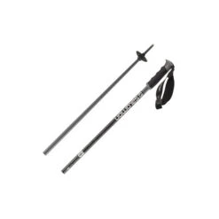 Salomon Arctic S3 Pole