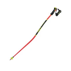 Leki WCR Lite GS 3D