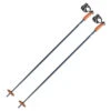 Leki Patrol Pole 2 Leki Patrol Pole -ALEONI Ski Geschaft 65168211