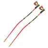 Leki WCR TBS GS 3D Poles -ALEONI Ski Geschaft 65267761