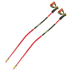 Leki WCR TBS GS 3D Poles