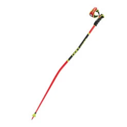 Leki WCR GS 3D Poles