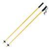 Atomic AMT SQS Poles