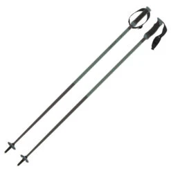 Atomic Redster Q Carbon SQS Poles