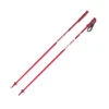 Atomic AMT Junior Poles 2 Atomic AMT Junior Poles -ALEONI Ski Geschaft AJ5005602