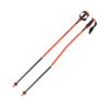 Atomic Redster RS GS SQS Poles -ALEONI Ski Geschaft AJ5005674