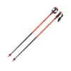 Atomic Redster Carbon SQS Poles -ALEONI Ski Geschaft AJ5005680