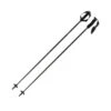 Atomic AMT Ultra SQS Poles 2 Atomic AMT Ultra SQS Poles -ALEONI Ski Geschaft AJ5005694