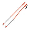Atomic Redster GS Junior Poles