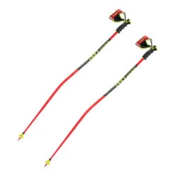 Leki WC Racing GS Pole